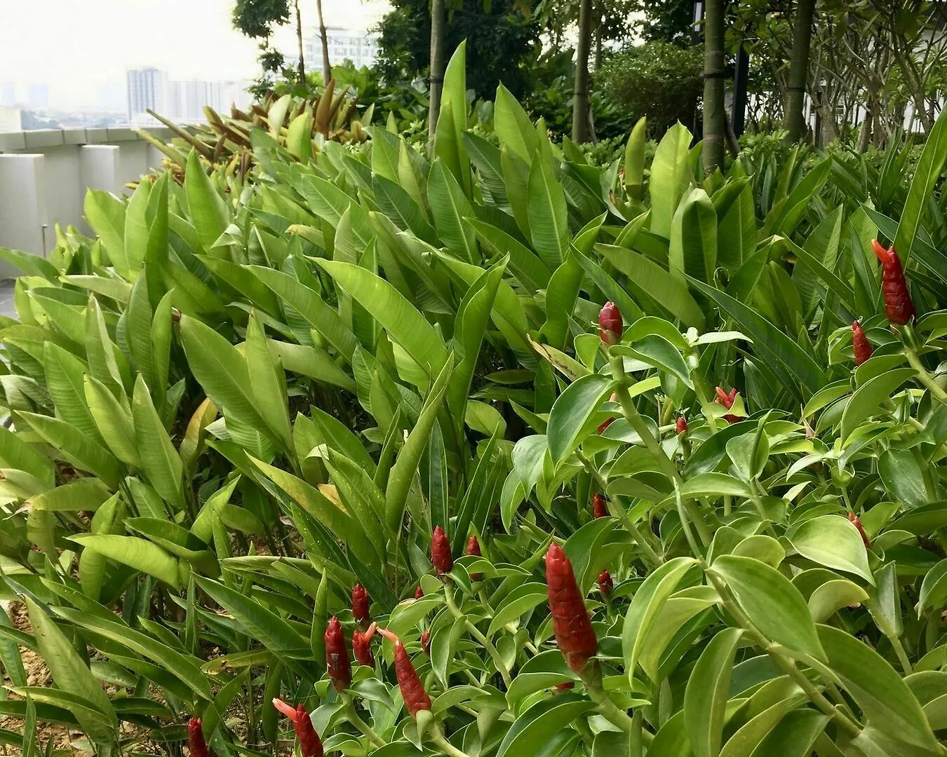 Southbank Residence Block B, Mid Valley @ De Space Kl Kuala Lumpur 0*,
